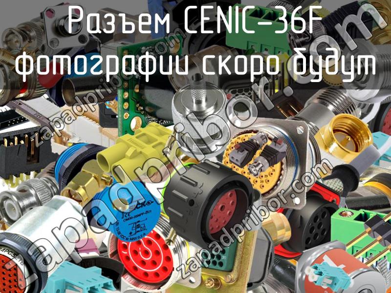 Разъем CENIC-36F фотография.