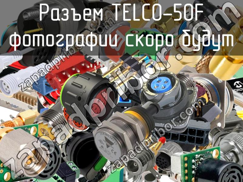 Разъем TELCO-50F фотография.