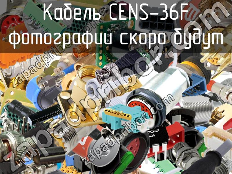 Кабель CENS-36F фотография.
