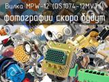 Вилка MPW-12 (DS1074-12MVT6) 