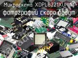 XDPL8221XUMA1