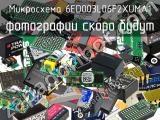 Микросхема 6ED003L06F2XUMA1