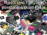 T13F256I4