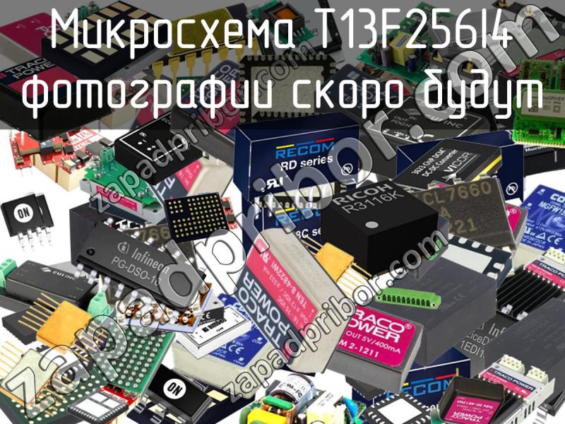 Микросхема T13F256I4 фотография.