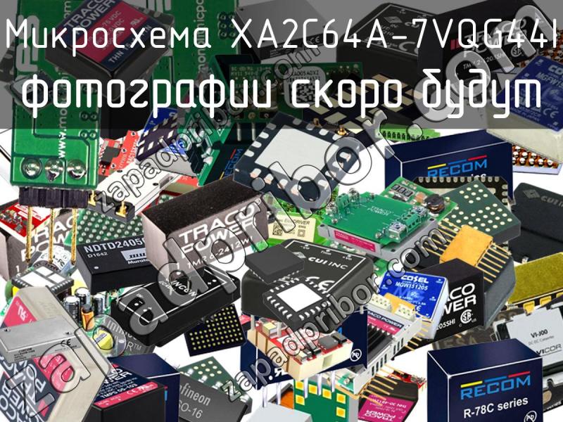 Микросхема XA2C64A-7VQG44I фотография.