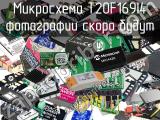 Микросхема T20F169I4 