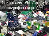 Микросхема PG02S4812A 