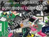 Микросхема ESTW004A2C41-HZ 