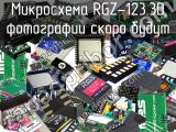 Микросхема RGZ-123.3D 