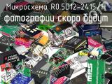 Микросхема R0.5D12-2415/H