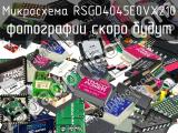 Микросхема RSGD4045E0VX210 