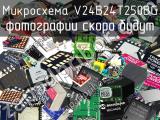 Микросхема V24B24T250BG