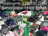 Микросхема V300B12C250BL