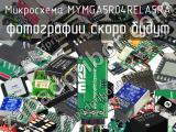 Микросхема MYMGA5R04RELA5RA