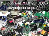 Микросхема MAX1254BEUE+ 