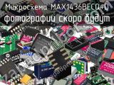 Микросхема MAX1436BECQ+D 