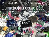 Микросхема MYRGP100100W21RA 