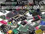 Микросхема CAT1022WI-30-GT3