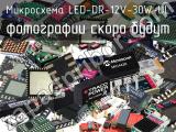 Микросхема LED-DR-12V-30W-UL 