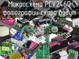 PCV2460