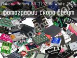 Панель Rotary SR-2202-IN White (24V 