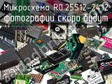 Микросхема R0.25S12-2412