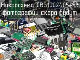 Микросхема CBS1002405-F3 