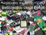 Микросхема A42MX09-VQG100I 