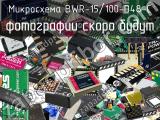 Микросхема BWR-15/100-D48-C 