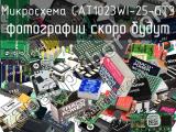 Микросхема CAT1023WI-25-GT3