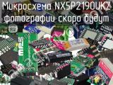 Микросхема NX5P2190UKZ