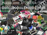 Микросхема AT29C010A-12PC 