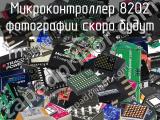 Микроконтроллер 8202