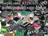 Микросхема AT29C020-12PC 