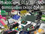 Микросхема DS1230Y-100+ 