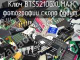 Ключ BTS5210GXUMA1