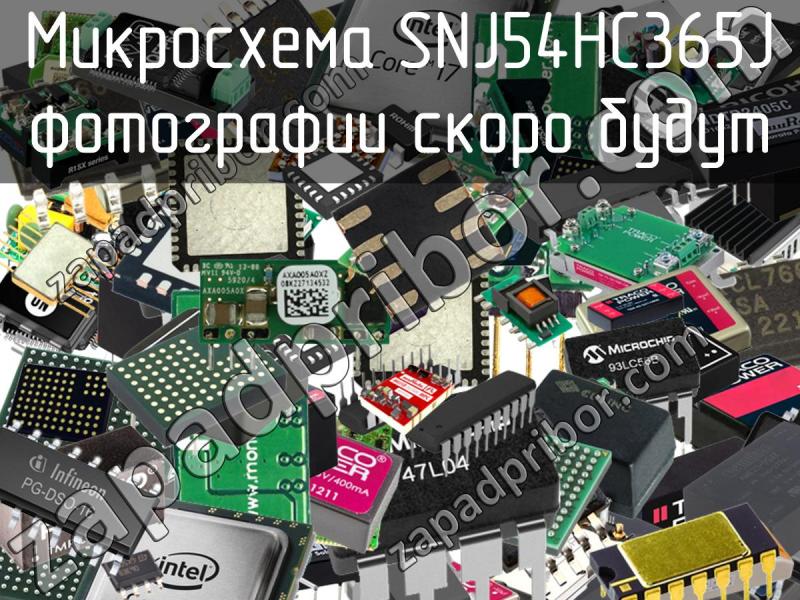 Микросхема SNJ54HC365J фотография.