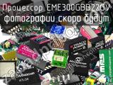 Процессор EME300GBB22GV 