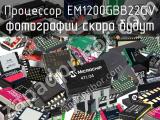 Процессор EM1200GBB22GV