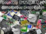Процессор EM2500IBJ23HM 