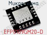Микросхема EFP0109GM20-D 