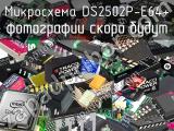 Микросхема DS2502P-E64+ 