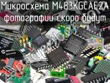 Микросхема M483KGCAE2A