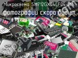 Микросхема SM712GX04LF04-BA 