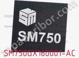 Микросхема SM750GX160001-AC 