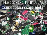 Микросхема M481LGCAE