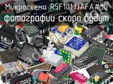 Микросхема R5F101JJAFA#30