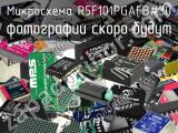 Микросхема R5F101PGAFB#30 