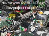 Микросхема R5F100LKDFA#30