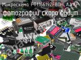 Микросхема FT1166192F80HLAAXP